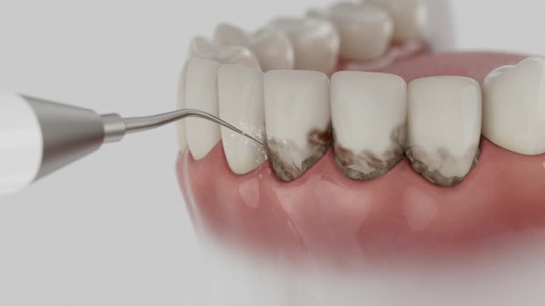 Reliable Dental contractor in Carmichael, CA by Dentist Open Now